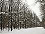 Увеличить Увеличить